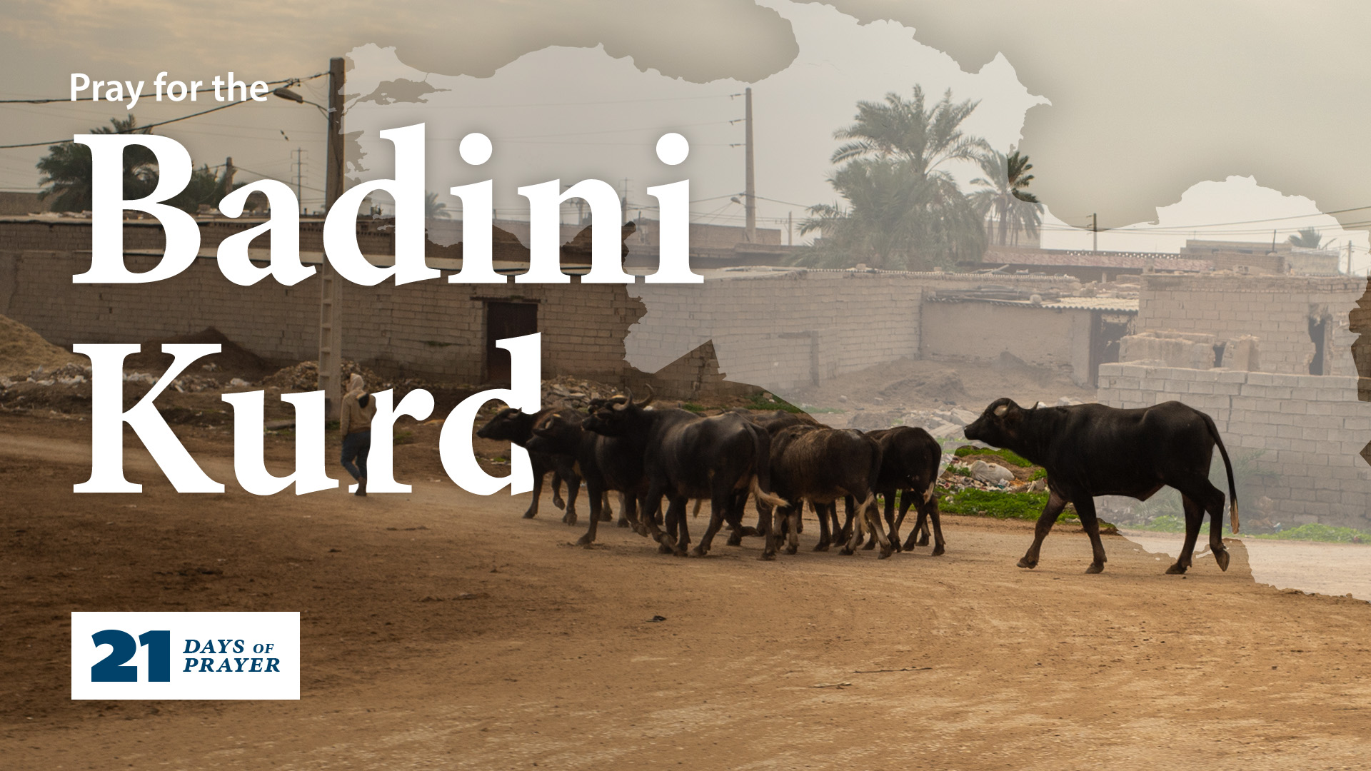 21 Days of Prayer: Bandini Kurds | Day 5